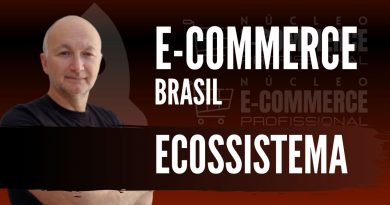 ECOMMERCE BRASIL ECOSSISTEMA