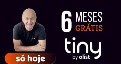 É 1, 2, 3, 4, 5, 6 MESES GRÁTIS TINY ERP o que é BOM e FUNCIONA MELHOR na BLACK FRIDAY com CUPOM